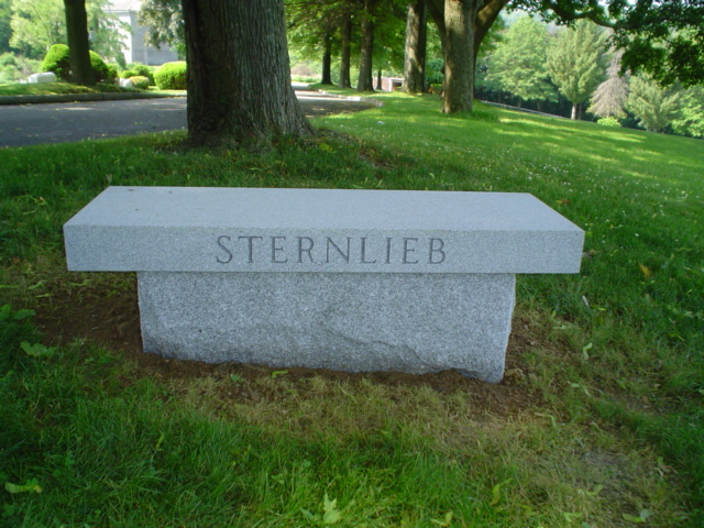 1 Sternlieb bench